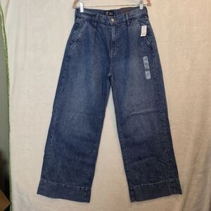 GAP Trouser Jeans Wide Leg High Rise Pleated Medium Wash Size 8 / 29